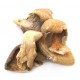 Dried Oyster Mushroom 1 Lb.