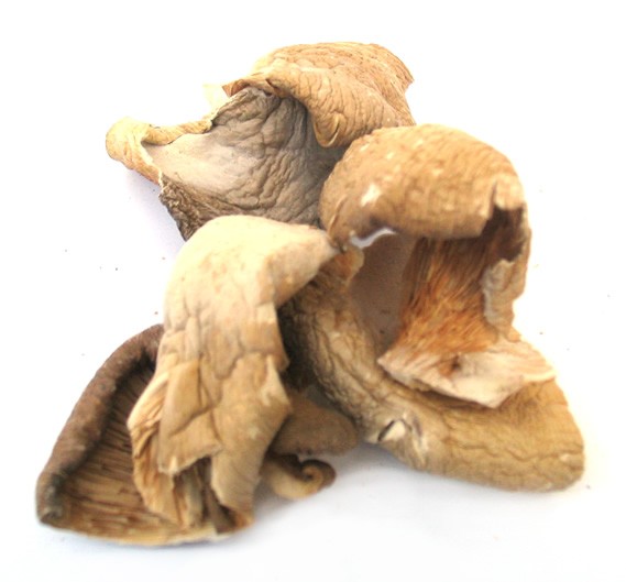 Dried Straw Mushroom 1lb