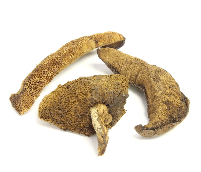 Dried Mushroom (Boletus Luteus Mushrooms) 15 Oz, Jumbo Jar – Its Delish